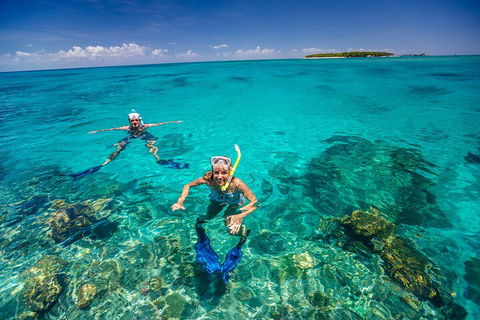 Fly To Green Island - Cruise Return - Accommodation QLD 4
