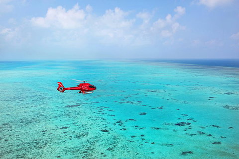 Helicopter And Cruise Packages From Port Douglas - Accommodation QLD 1