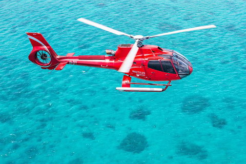 Helicopter And Cruise Packages From Port Douglas - Accommodation QLD 5