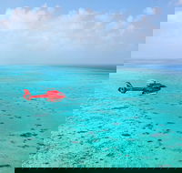 Port Douglas Scenic Flights - Accommodation QLD