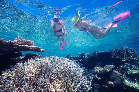 Cruise Out And Cruise Return, Plus 10 Minute Scenic Flight - Accommodation QLD 5