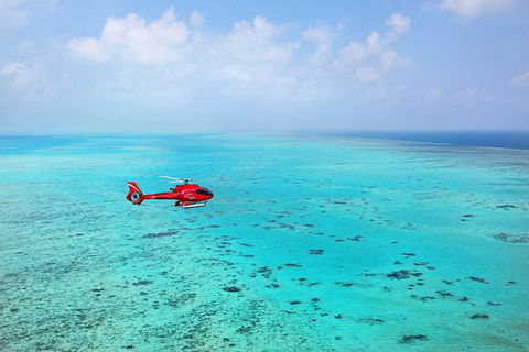 Port Douglas - Cruise And 10 Minute Scenic Flight - Accommodation QLD 1