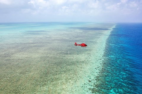 Ultimate Great Barrier Reef And Rainforest 45-minute Helicopter Tour - Accommodation QLD 5