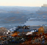 Mt. Wellington Bonorong and Richmond Day Tour from Hobart - Accommodation QLD