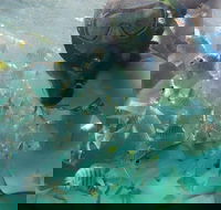 2-Day Moreton Island 4WD Camping Tour from Brisbane - Accommodation QLD