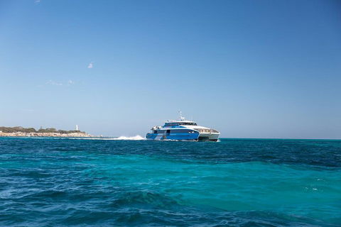 Fremantle To Rottnest Island Roundtrip Ferry Ticket - Accommodation QLD 5