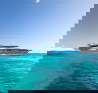 Rottnest Island All-Inclusive Grand Island Tour from Fremantle - Accommodation QLD