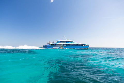 Rottnest Island Bike, Snorkel & Ferry Package From Fremantle - Accommodation QLD 0