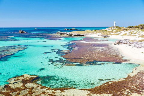 Rottnest Island Bike, Snorkel & Ferry Package From Fremantle - Accommodation QLD 4
