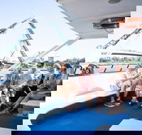 Summer Lunch Cruise - Accommodation QLD