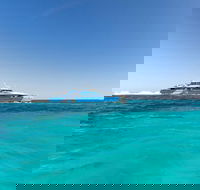 Rottnest Island Bayseeker Day Trip from Perth - Accommodation QLD