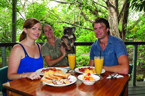 Breakfast With The Koalas At Hartley's Crocodile Park From Cairns Or Palm Cove - Accommodation QLD 0