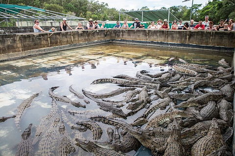 Hartley's Crocodile Adventures Day Trip From Cairns - Accommodation QLD 0