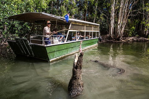 Hartley's Crocodile Adventures Day Trip From Cairns - Accommodation QLD 2