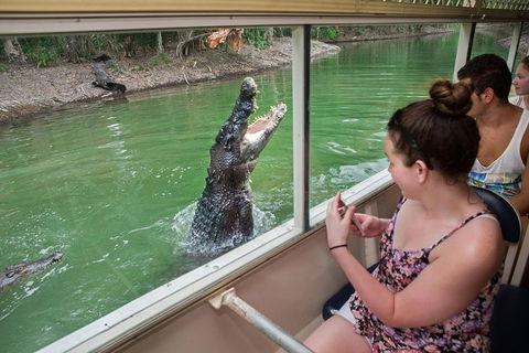 Hartley's Crocodile Adventures Day Trip From Cairns - Accommodation QLD 3