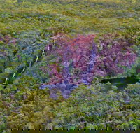 Litchfield Park  Daly River - Scenic Flight From Darwin - Accommodation QLD