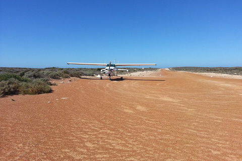 Abrolhos Islands Scenic Flight & Snorkel Adventure From Perth - Accommodation QLD 3