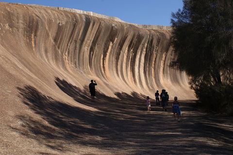 Wave Rock, Pinnacles And Rottnest One Day Aeroplane Tour - Accommodation QLD 4