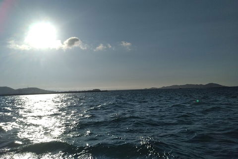 Townsville Small Group Early Morning Sailing Cruise Boat Tour Charter Hire - Accommodation QLD 4