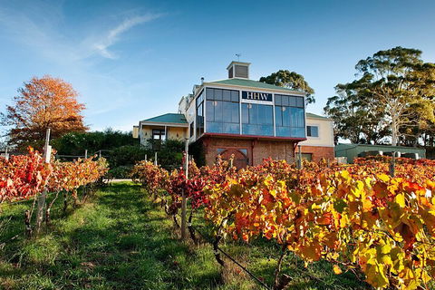 Adelaide Hills Food, Wine, Cheese, & Chocolate - Private Day Tour - Accommodation QLD 3