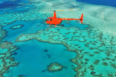 Reef & Whitehaven Landing - Accommodation QLD 4