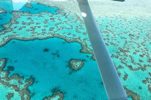 Whitsunday Islands 1-Hour Reef Scenic Helicopter Tour - Accommodation QLD 3
