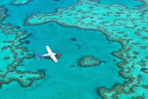 Reef And Island Scenic Flight From Airlie Beach - Accommodation QLD 4