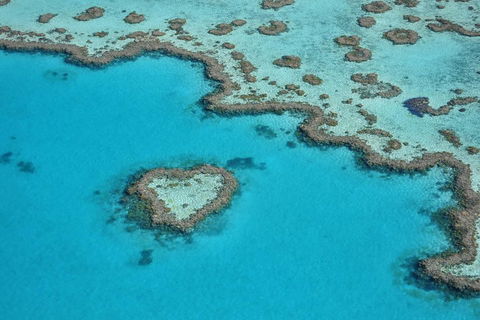 Reef And Island Scenic Flight From Airlie Beach - Accommodation QLD 5