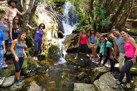 7-Day Super Value Tour Of Tasmania: Explore Tasmania's West And East Coasts - Accommodation QLD 2