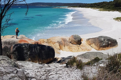 2-Day Tas East Coast Escape Tour Including Bay Of Fires, Wineglass Bay & Devils - Accommodation QLD 4