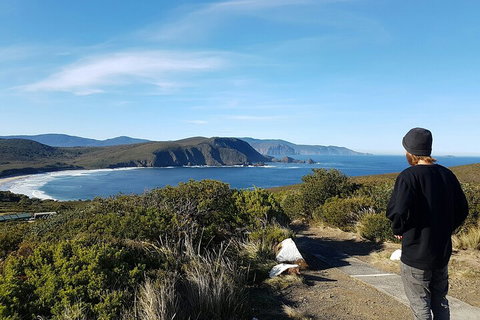 4-Day Fabulous Tasmania Tour: Wineglass Bay, Port Arthur, Devils & Bruny Island - Accommodation QLD 0