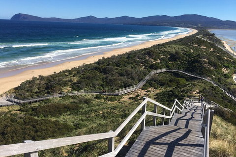 4-Day Fabulous Tasmania Tour: Wineglass Bay, Port Arthur, Devils & Bruny Island - Accommodation QLD 5
