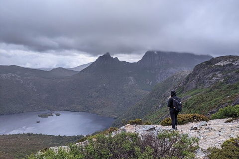 5-Day Best Of Tasmania Tour From Hobart - Accommodation QLD 3