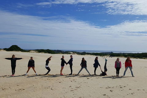 5-Day Best Of Tasmania Tour From Hobart - Accommodation QLD 4