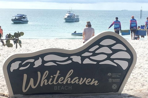 Whitehaven Beach And Hill Inlet | Awesome Beach BBQ | Family Friendly - Accommodation QLD 5