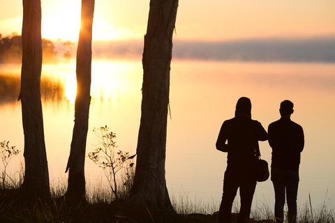 Serenity Cruise To Australia's Everglades - Accommodation QLD 5