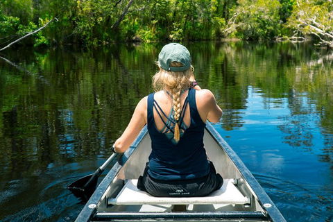 Cruise 'n' Canoe To Australia's Everglades - Accommodation QLD 0
