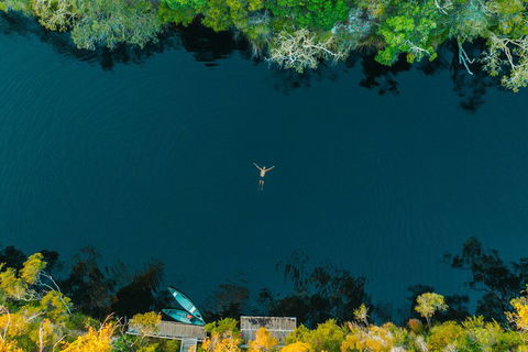 Cruise 'n' Canoe To Australia's Everglades - Accommodation QLD 2