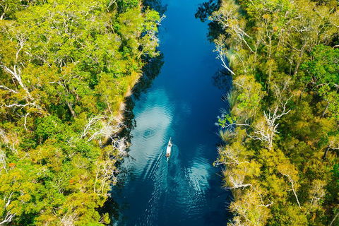 Cruise 'n' Canoe To Australia's Everglades - Accommodation QLD 4