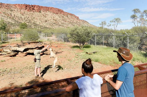 Alice Springs Desert Park General Entry Ticket - Accommodation QLD 4