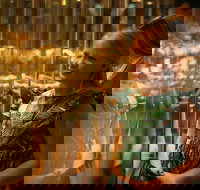 The Perth Mint Guided Heritage Tour and Gold Pour - Accommodation QLD