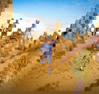 Full-Day Pinnacles Desert and Yanchep National Park Tour From Perth - Accommodation QLD