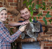 Private Tour Blue Mountains Day Trip from Sydney - Accommodation QLD