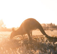 Small Group - 12 Apostles Otways  Great Ocean Road Day Tour from Melbourne - Accommodation QLD