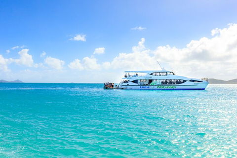 Whitehaven Beach And Daydream Island Cruise - Accommodation QLD 2