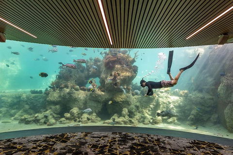 Whitehaven Beach And Daydream Island Cruise - Accommodation QLD 4