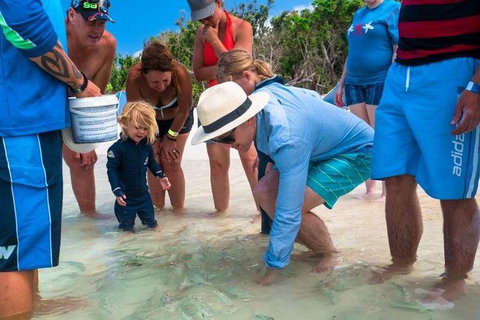 Whitehaven Beach And Hamilton Island Cruise - Accommodation QLD 1