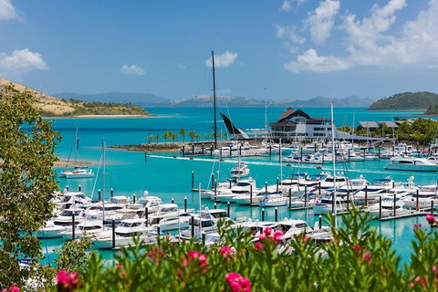 Whitehaven Beach And Hamilton Island Cruise - Accommodation QLD 3