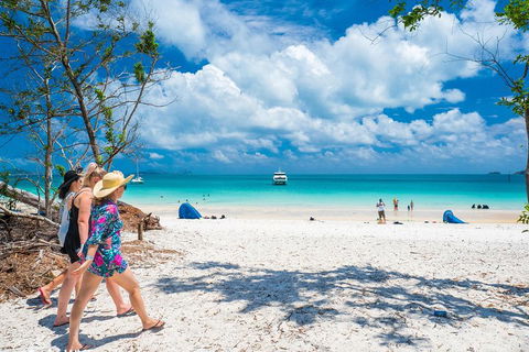 Whitehaven Beach Half-Day Cruises - Accommodation QLD 1