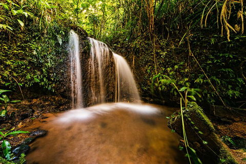 Paronella Park Admission Ticket - Accommodation QLD 5